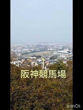 甲山森林公園。こまつは初入園です。展望台や園内を散歩しました。 #甲山森林公園 #西宮市 #兵庫県 #Corgi #japan