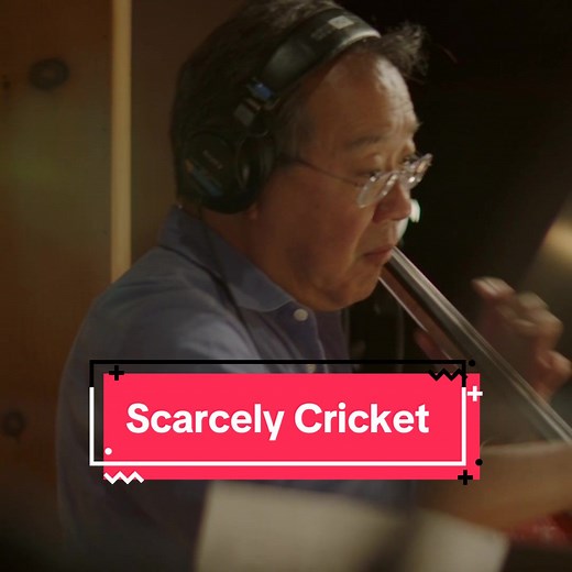 Scarcely Cricket: A Summer Musical Journey