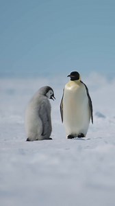 193 reactions | After two long months of enduring the harsh Antarctic...