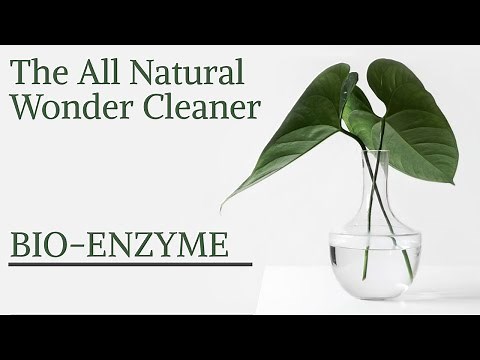 Bio-Enzyme & its 10 Uses (at least) - The Powerful Multi-Purpose Natural DIY Cleaner