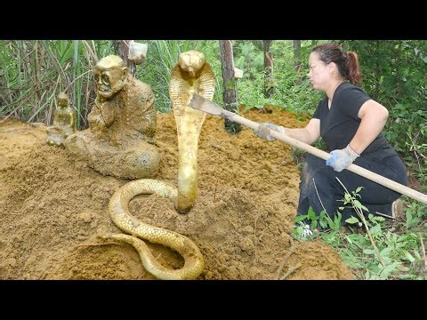 Treasure hunt in the woods, unexpectedly found a big treasure under the tree, treasure
