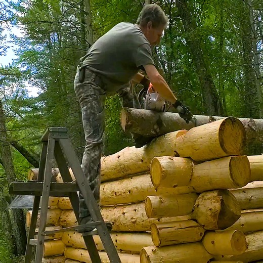 1.2K views · 23 reactions | building a tiny rustic wilderness log cabin | House Mountain Nature | Facebook