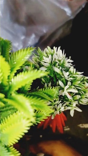 🌳 Miniature Tree Unboxing! | mini Beauty Revealed 🌳#shorts #ytshorts #shortsfeed