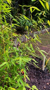 1.6K views |  Swim Spa and Hot Tub project completed in Newcastle...