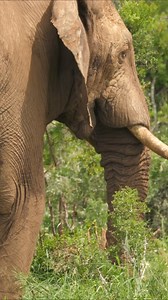 Tired of slow, conventional returns? This free training is a chance...