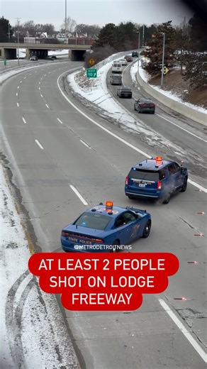 MDN on Instagram: "#Breaking 🚨: At least two people were shot Saturday morning on the northbound Lodge Freeway near Wyoming Avenue in Detroit. The incident happened around 9 a.m. while the vehicle was traveling on the freeway, when another car opened fire. Video from the scene shows the car riddled with bullet holes. The conditions of the victims have not been released at this time. The northbound Lodge Freeway was temporarily closed as officers investigated the scene. No suspect information ha