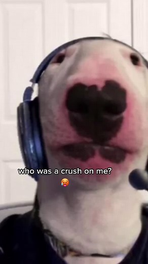 Walter Feeling Down: A Look into His Struggles