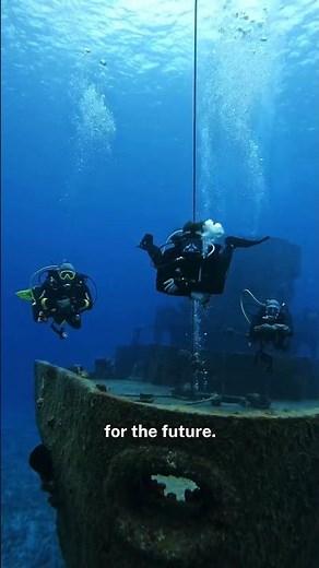 Scuba.com VIP Rewards Program is Here #scubadotcom #oceanexplorers #diving