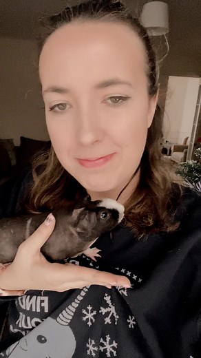 Why does she squeak like this whenever I get her out now? Is she unhappy? Pig owners help me! #guineapig #skinnypig