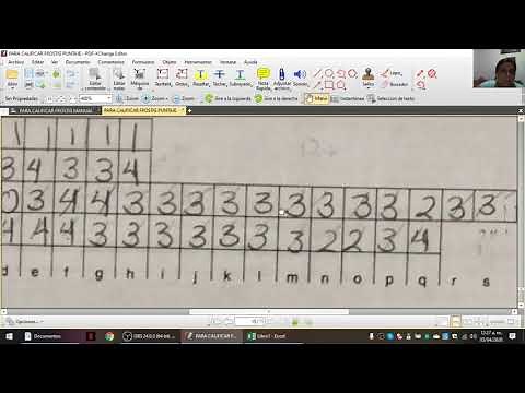 CALIFICACIÓN DE FROSTIG 2