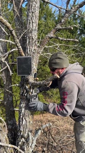 Installing New Trail Cam #Gradepro