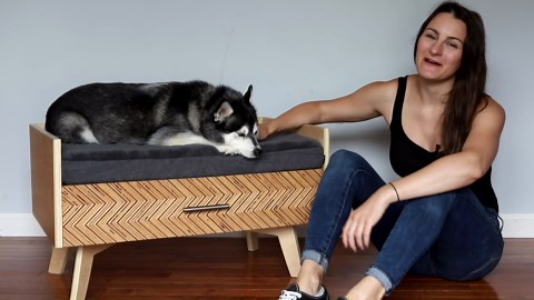 How to Build A Modern DIY Dog Bed With Storage