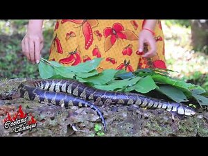 Cooking Big Egg Snake Soup Recipe For Dinner In Forest