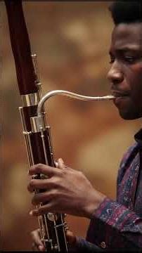 Bassoon Music Instrumental On Youtube, Best Relaxing Bassoon Music With Peaceful Ambience+Meditation