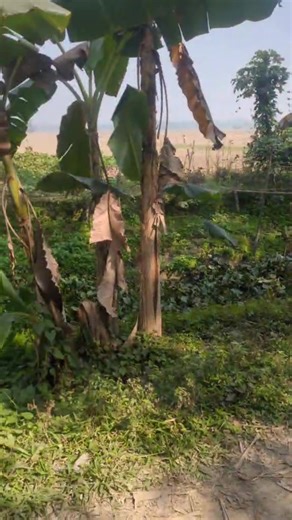 Good hope 🥰🥰 | Facts 1M Official