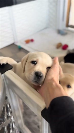 A little throwback to last year playtime done, nap time calling. It’s wild a year has past already.