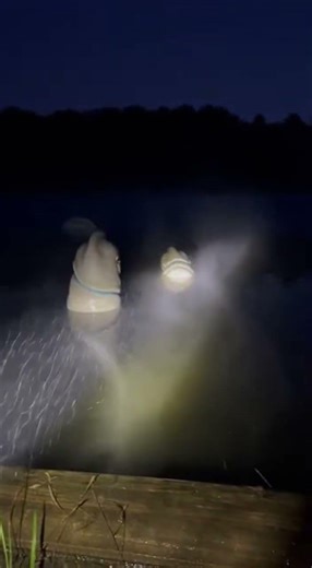 Cursed Lake Horror | Hyper-Realistic Humanoid Creatures Emerging