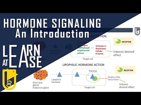 Hormone signaling: An introduction
