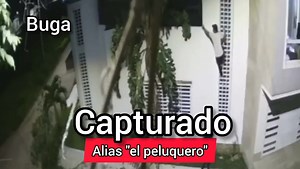 #BUGA: CAPTURADO ALIAS ‘PELUQUERO’ DEDICADO AL HURTO DE RESIDENCIAS En un operativo, realizado por la Policia Nacional para contrarestar el hurto en todas sus modalidades y gracias a los elementos materiales recaudados, con esta captura, logramos ponerle fin a este flagelo que tanto afecta la seguridad ciudadana en la ciudad de #Buga. El Departamento de Policía Valle en coordinación con la Fiscalía General de la Nación, capturaron a alias “Peluquero” por el delito de hurto calificado con circuns