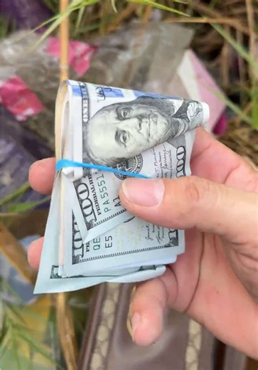 Treasure Found: Cash and iPhone 13 Pro Max Discovery