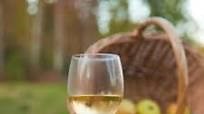 15 Apple Juice Concentrate Wine Recipe - Selected Recipes
