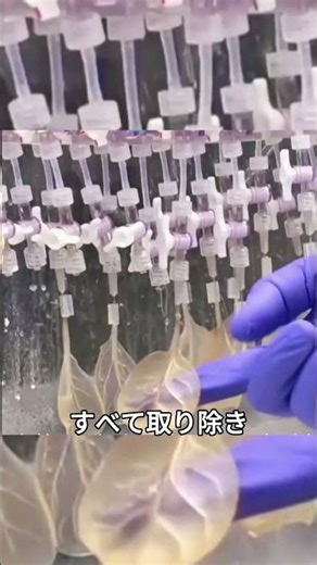 ほうれん草の葉が心臓のように動き始めました