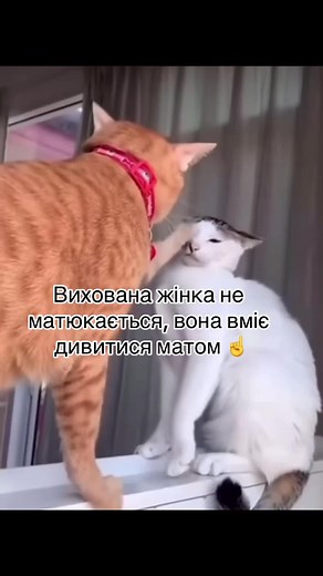 Гумористичні карикатури: Останній день відпустки