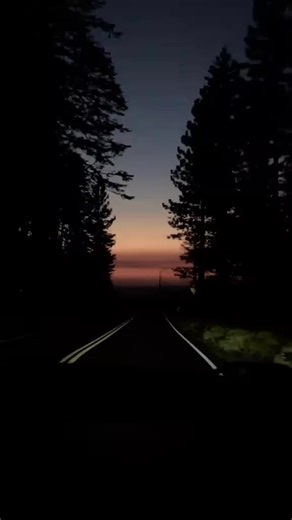 yo ❤️ también soy sentimental Nelson ned