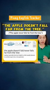 33K views · 1.1K reactions | Naniniwala ka ba sa kasabihang "Kung ano ang puno, sya rin ang bunga." ??? #englishexpressions #englishconversation #tagalog #tagalogenglishtranslation | Pinay English Teacher | Facebook