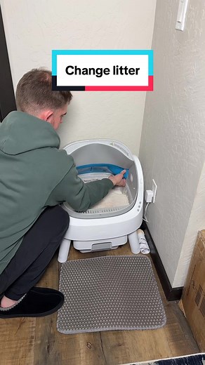 Cómo cambiar la arena de una caja automática para gatos