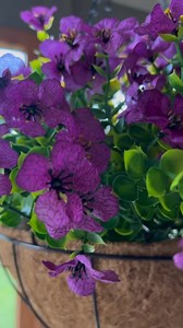 136K views · 5.5K reactions | Join the best Facebook Group for incredible deals on fashion, beauty supplies, decor and more! Join the other 300k women in a community where we all enjoy laughs and shopping together!  Get ready for fun forums, killer deals and giveaways! Join the best group on Facebook now! Shop faux planters HERE: https://urlgeni.us/amazon/s5VHA #ad | Sunflower Steals | Facebook