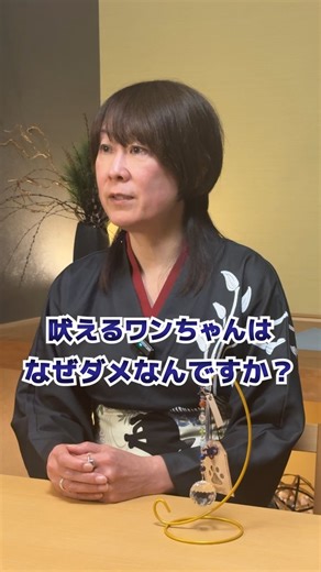 アニマルリーダー｜あっこ on Instagram: "吠えるのは悪い子？ ┈┈┈┈┈┈┈┈┈┈┈ ペットちゃんは とても敏感に感情を汲み取ります。 吠える＝悪ではなく ご自身の感情もフラットにして 接してあげてください。 驚くような変化が 起こるかもしれませんよ🤭 ┈┈┈┈┈┈┈┈┈┈┈ 『アニマルリーダー養成講座』 詳細は ＠anicomi_akko プロフィールリンクから LINE登録してくださいね。 ・ ・ 🌈お空の子からのメッセージ 🌈ペットの気持ちがわかる 🌈アニマルリーデイング事例 大切なうちの子とつながる 奇跡のような体験をあなたに。 #アニマルリーデイング #アニマルリーダー #動物と話す #ペットとつながる #お空からのメッセージ"