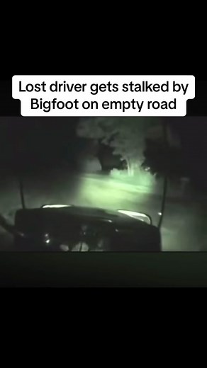Bigfoot Theory on TikTok