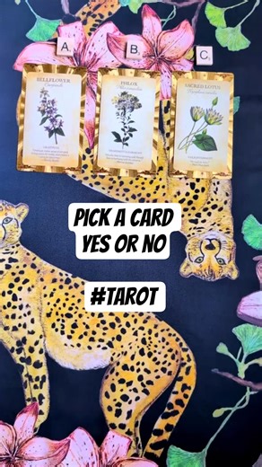 Yes Or No - Pick A Card Reading #tarot