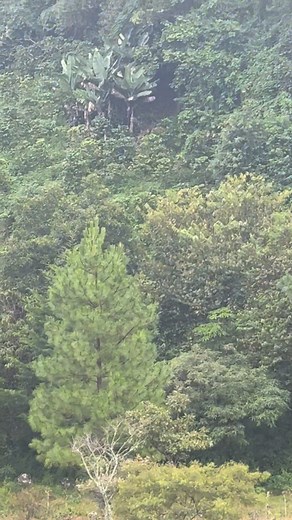 Beautiful Rio in Pasho Ancho | Sarah Larson