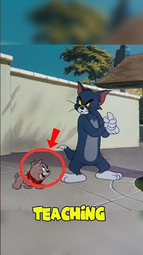 Spike Made Tom Train His Son To Chase Cats! 😂