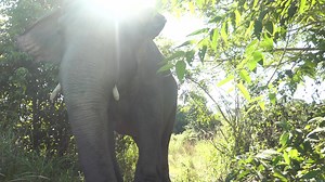 20K views · 3.9K reactions | Happy 2nd Rescue Anniversary and 37th...