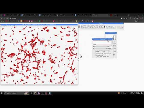How to calculate cell confluency using Image J