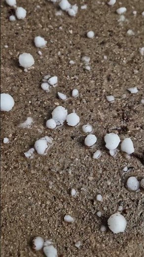 Huge hailstones Breathtaking footage of a natural phenomenon