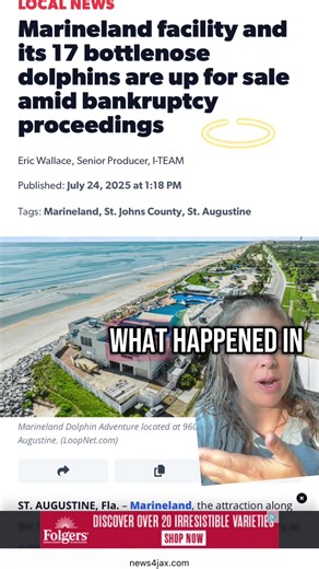 #greenscreen #dolphins #fypシ #sealife @TideBreakers.