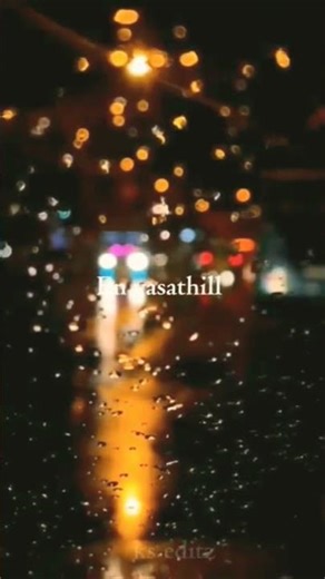 🥰....... 🤗«««««🤍