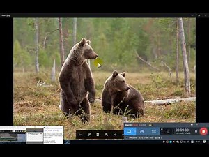 与谷歌chrome浏览器齐名的Yandex浏览器设置+体验 +网盘安装 好机场 无声频道