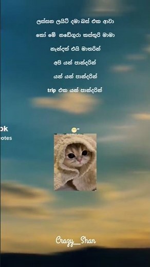 ලස්සන ලයිට් දමා බස් එක ආවා || lassana light dana bus eka awa