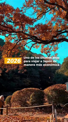 Viajar a Japón en 2026: Paquetes Todo Incluido
