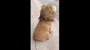 Подборка приколов / Смешные падения людей / Funny videos compilation #02 (video) - ItemFix