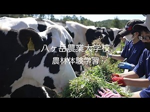 八ヶ岳農業大学校・農林体験学習紹介動画【八ヶ岳農業大学校（長野県原村）】
