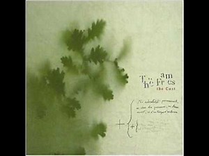 The Frames - Falling Slowly