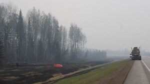 Multiple homes destroyed in Fort Nelson, B.C., wildfire, officials say - The Weather Network