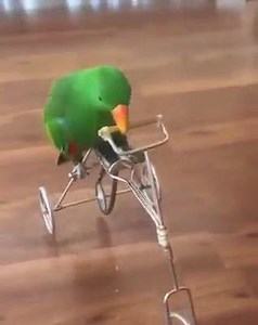 3.2K views · 66 reactions | MTC Computers on Reels | Facebook