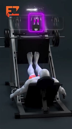 Leg Press Guide: Quads vs Glutes vs Hamstrings